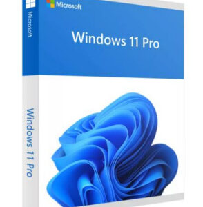 Windows 11 Pro 64-bit OEM
