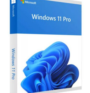 Comeros MICROSOFT FQC 10553 a91814 294x301 - WIN 11 PRO 64B OEM 1PK SPANISH FISICO (S/DVD)