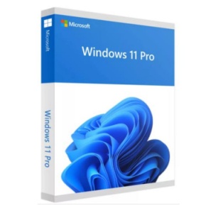 Windows 11 Pro 64-bit OEM
