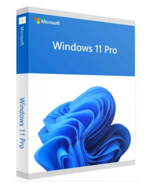 Comeros MICROSOFT FQC 10553 a91814 - WIN 11 PRO 64B OEM 1PK SPANISH FISICO (S/DVD)