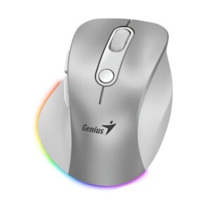 Mouse Ergonómico Silencioso