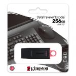 Pendrive Kingston DTX 256GB