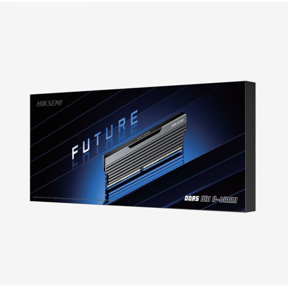 Memoria RAM Hiksemi Future Black