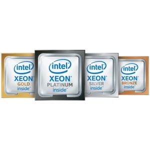 HPE Intel Xeon-Silver 4510 12C